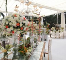 Evolve Weddings