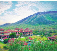 The Tree of Life Vantara Resort, Udaipur